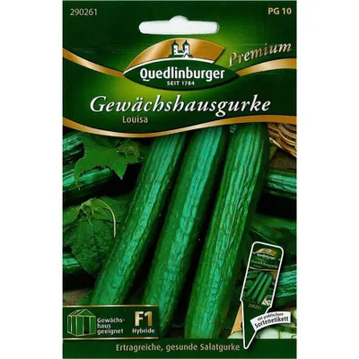 Immagine prodotto di Quedlinburger Saatgut - Cetrioli da serra Louisa - Semi - 290261