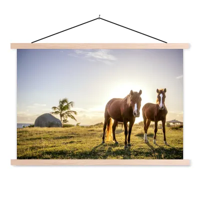 Obrázok produktu pre MuchoWow® Textilný plagát - Kone - Slnko - Tráva - 60x40cm - S hnedými lamelami