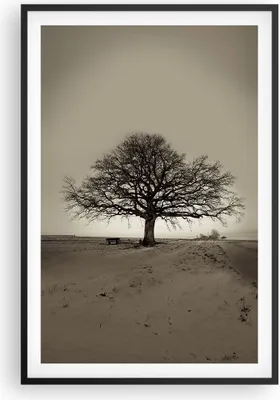 Produktbild von Gerahmtes Poster - Schwarzer Rahmen - Baum Schnee Sepia - 61x91,5 cm - Wand Bild - Wanddeko - Wandbilder - Kunstposter - Wandposter - Bilderrahmen - Bilder - Kunstdruck - Wandbild - P2BPA61x91-4161