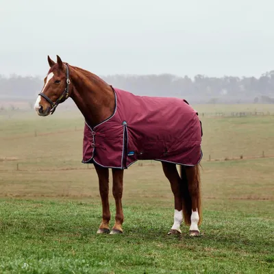 Image de Weatherbeeta Comfitec Prelim Turnout 0g - Taille 150 - Rouge