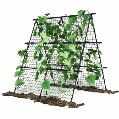 Image de Treillis pour plantes Treillis pour plantes robuste pour concombres et plantes grimpantes 120 x120 cm