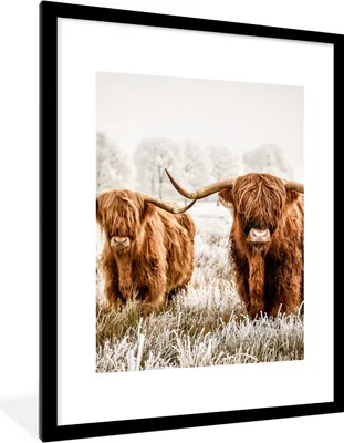 Produktbild von MuchoWow® Gerahmtes Poster Schottischer Highlander - Kuh - Tiere 60x80 cm - Poster mit Schwarzem Bilderrahmen Wandposter Rahmen Foto Bilder - Wohnzimmer - Dekorationen - Prämie