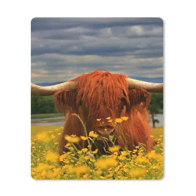Produktbild von MuchoWow® Mauspad Mousepad Schottischer Highlander - Tiere - Blumen 19x23 cm - Mousepads - Maus Mat - Pad - Mausunterlage - Mauspads - Spielen