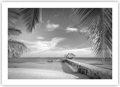 Produktbild von Poster - Poster ohne Rahmen - Himmlisch Strand Monochrom - 70x50 cm - Wand Bild - Wanddeko - Wandbilder - Kunstposter - Wandposter - Bilder - Kunstdruck - Wanddekoration - Wandbild - P2XAA70x50-4750