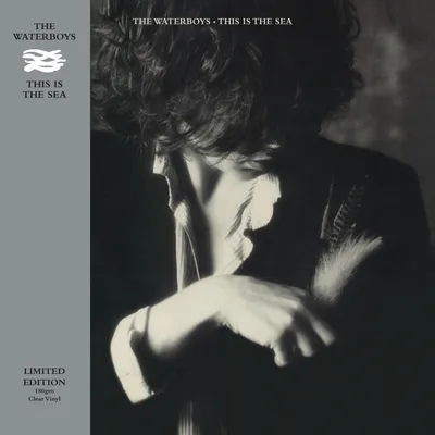 Zdjęcie produktu dla The Waterboys - This Is The Sea (Limited Edition) (Clear Coloured) (LP)