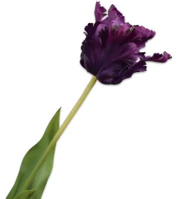 Produktbild von Silk-ka Seidenblume Tulpe Violett (71cm)