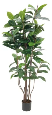 Immagine prodotto di EUROPALMS Albero di gomma, pianta artificiale, 150cm (82600151)