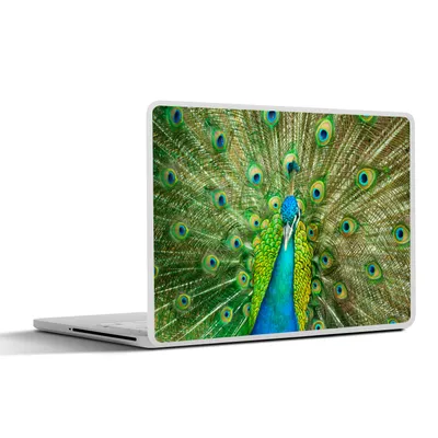 Produktbild von MuchoWow® Laptop Aufkleber Sticker Cover Nahaufnahme - Pfau - Indien 36.5x27.5 cm - Laptop-Sticker