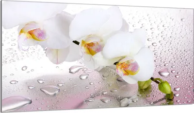 Produktbild von Herdabdeckplatte 90x52 Glaskeramikkochfeld Abdeckung Spritzschutz Glasplatte Deko Schneidebrett, Orchidee Weiß