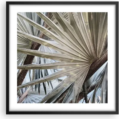 Produktbild von Gerahmtes Poster - Schwarzer Rahmen - Blatt Palme Natur - 50x50 cm - Wand Bild - Wanddeko - Wandbilder - Kunstposter - Wandposter - Bilderrahmen - Bilder - Kunstdruck - P2BAC50x50-5056