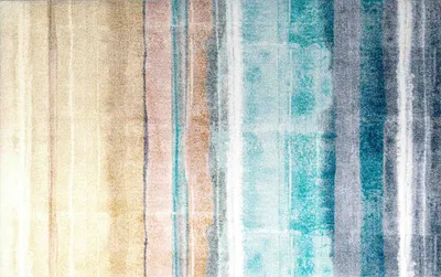 Produktbild von wash+dry Schmutzfangmatte Frerik - 110 x 175 cm