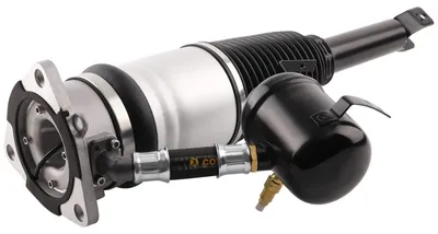 Immagine prodotto di Ammortizzatore a sospensione pneumatica - Audi A8 D3 4E2 4E8, produzione 2002-2010 - VW Phaeton 3D1 - Codice OEM: 4E0616002D - Sostituisce i codici: 4E0 616 002 E/G/K/M/N/Q
