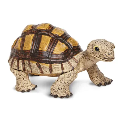 Produktbild von Safari Ltd Tortoise Brown One Size