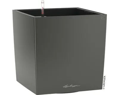 Obrázek produktu pro LECHUZA CUBE 30, Květináč, Volně stojící, Polypropylen (PP), Tmavě šeda, Vnitřní, Černá