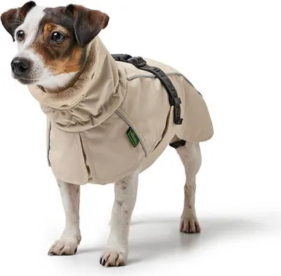 Image de Manteau pour chien Hunter Nordby crème, taille : 45 cm