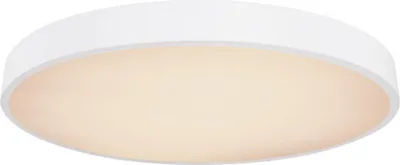 Obrázek produktu pro Globo Lighting stropní svítidlo kovově bílé, plastově bílé, stmívatelné, několik úrovní pomocí nástěnného spínače, možnost fixace barev, paměťová funkce, noční světlo, dálkové ovládání, baterie 2x AAA, ø: 600 mm, V: 105 mm, včetně LED 48W 230V, zdroj 850-5250lm, výkon 360-3100lm, CCT 3000-6000K