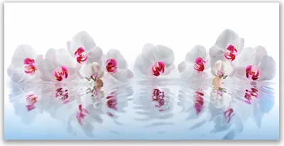 Produktbild von Glasbilder 120x60 Wandbild Druck auf Glas Blumen Kunst