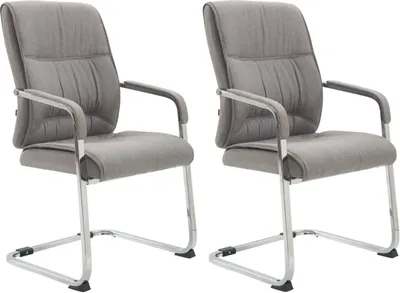 Produktbild von 2er Set Freischwinger XXL Anubis Stoff grau