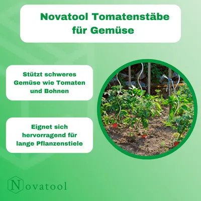 Produktbild von Novatool 10 Tomatenstäbe 110 cm 5 mm Durchmesser Tomatenspiralstäbe verzinkt Rankstäbe Tomatenstangen Rankhilfe Blumenhalter Pflanzstäbe