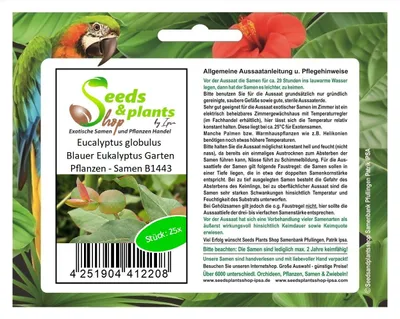 Produktbild von 25x Eucalyptus globulus Blauer Eukalyptus Baum Garten Pflanzen - Samen B1443