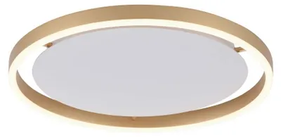 Zdjęcie produktu dla Lampa sufitowa LED 20W RITUS 15391-60 Paul Neuhaus
