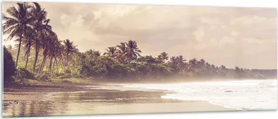 Produktbild von Bilder auf glas - Einteilig - Palmen Strand Wasser - 140x50cm - Glasbilder - Wandbilder - Bilder - zum Aufhängen bereit - Wanddekoration aus Glas - Glas Bilder - Wandbild auf Glas - GAB140x50-4917