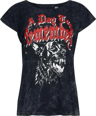 Produktbild von A Day To Remember T-Shirt Damen Hound anthrazit S