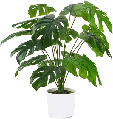 Produktbild von Künstliche Monstera-Pflanze im Topf, 55 cm, künstliche tropische Palme zur Tischdekoration, für Zuhause, Wohnzimmer, Schlafzimmer, Balkon, Büro (12 Blätter)