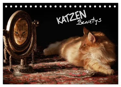 Produktbild von KATZEN Beautys (Tischkalender 2027 DIN A5 quer), CALVENDO Monatskalender