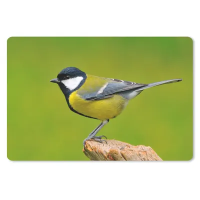 Produktbild von MuchoWow® Mauspad Mousepad Vogel - Kohlmeise - Tiere - Grün 27x18 cm - Mousepads - Maus Mat - Pad - Mausunterlage - Büroartikel - Desk Matten