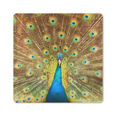 Produktbild von MuchoWow® Mauspad Mousepad Pfauenfedern - Vogel - Blau 30x30 cm - Mousepads - Maus Mat - Pad - Mausunterlage - Gaming