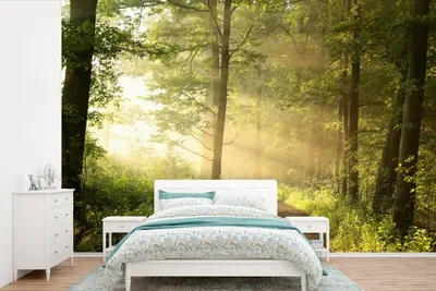 Produktbild von MuchoWow® Fototapete für Wohnzimmer oder Schlafzimmer Wandtapete Vinyl Motivtapete Wald - Sonne - Bäume - 450x300 cm - Gemusterte