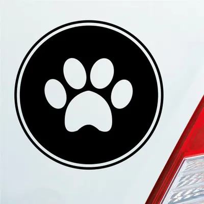 Produktbild von Auto Aufkleber Pfote Paw Dog Hund Tier Haustier Abdruck 10x10 cm Schwarz Glanz Sticker Heckscheibenaufkleber
