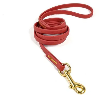 Immagine prodotto di Corda da addestramento multifunzionale in PVC idrorepellente per cani di piccola e media taglia