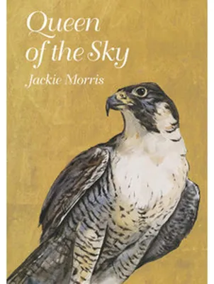 Immagine prodotto di Queen of the Sky