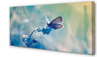Produktbild von Leinwandbild 100x50 Wandkunst bunter Schmetterling