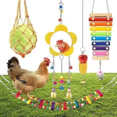 Produktbild von SUQ 5PCS Hühnerspielzeug für Stallzubehör, Regenbogenschaukel, Hühner Spielzeug, Hühnerspiegel mit Glocken, Huhn Gemüse Spieß Obsthalter, Hängendes Spielzeug mit Netzbeutel für Küken, Holz Xylophon