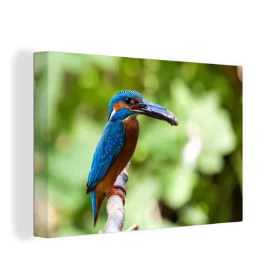Zdjęcie produktu dla OneMillionCanvasses® - Obrazy na płótnie - 150x100 cm, Zimorodek - Ryba - Drzewo, grafika ścienna, dekoracja ścienna