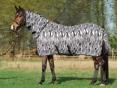 Produktbild von Paddock-Fliegendecke COMFORT PRO ZEBRA, Farbe:Zebra, Länge in cm:125_plus