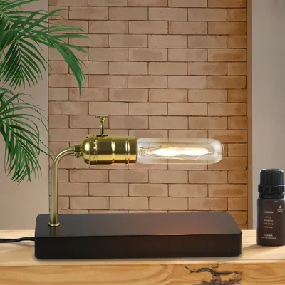 A desk lamp with a vintage Edison bulb sits on a wooden surface in front of a brick wall. A palm frond is visible on the left, and a small bottle of essential oil is on the right.