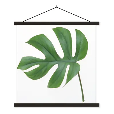 Produktbild von MuchoWow® Textilposter Botanisches Blatt auf weißem Hintergrund 60x60 cm mit schwarzem Rahmen - Posteraufhänger