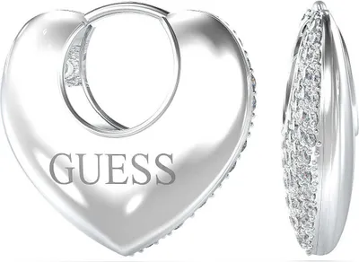 Produktbild von Ohrringen Kreisförmig Guess Silber Kollektion Crazy in love - frau