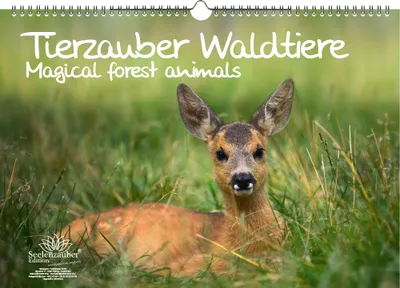 Produktbild von Tierzauber Waldtiere DIN A3 Kalender - Immerwährender Kalender Tiere im Wald - Seelenzauber
