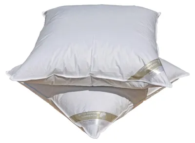 Produktbild von 2 Stück Betten Hofmann Daunenkissen 80x80 cm 600g Daunen Kopfkissen Kissen 100% Daunen medium