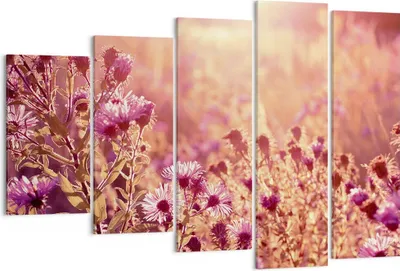 Produktbild von Bild auf Leinwand - Leinwandbild - 5 Teile - Wiese Blumen Sonne - 150x100cm - Wand Bild - Wanddeko - Wandbilder - Leinwanddruck - Bilder - Wanddekoration - Leinwand bilder - Wandbild - EG150x100-4819
