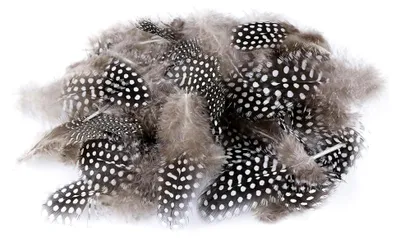 Produktbild von 100 Stück Perlhuhnfedern, Federn zum Basteln, 4,5-10 cm natürliche gesprenkelte Federn für DIY Ohrringe, Hochzeiten, Traumfänger und Kopfschmuck