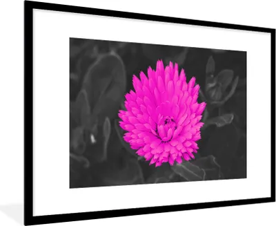 Produktbild von MuchoWow® Gerahmtes Poster Blumen - Aquarell - Rosa 90x60 cm - Poster mit Schwarzem Bilderrahmen Wandposter Rahmen Foto Bilder - Wanddekoration - Fotos