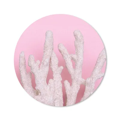 Produktbild von MuchoWow® Mauspad Mousepad Koralle - Rosa - Sommer 20x20 cm - Mousepads - Maus Mat - Pad - Mausunterlage - Schreibtischmatte
