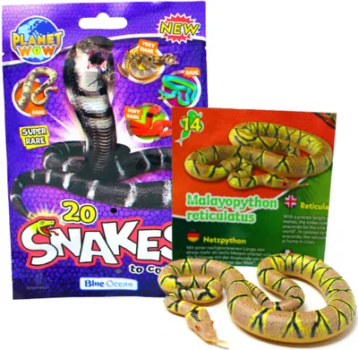 Produktbild von Blue Ocean Snakes Sammelfiguren 2024 - Planet Wow - Figur 14. Netzpython