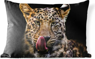Produktbild von MuchoWow® Outdoor Kissen - Leopard - Schwarz - Nahaufnahme - 60x40 cm - Wetterfest - Lounge Kissen - Zierkissen - Kissen für Innenräume